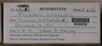 Image Associated With the Occurence